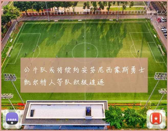 公牛队或将续约安芬尼西蒙斯勇士凯尔特人等队积极追逐