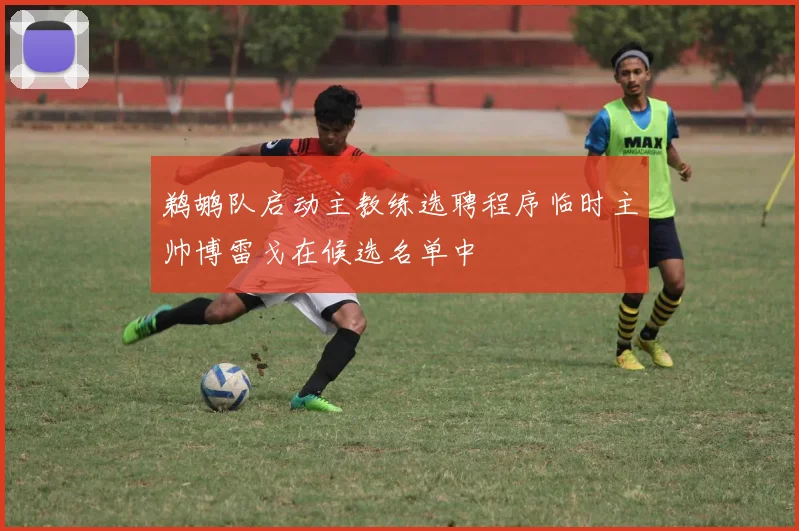 鹈鹕队启动主教练选聘程序临时主帅博雷戈在候选名单中